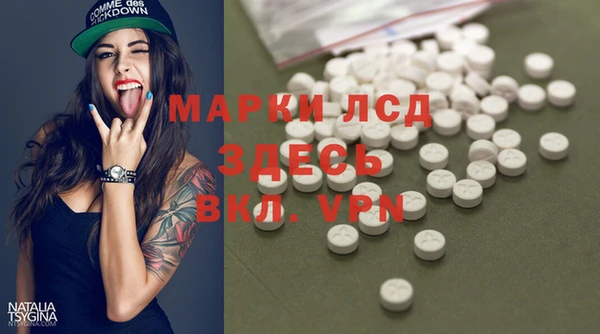 гидра Инта