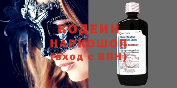 гидра Инта