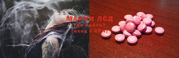 гидра Инта