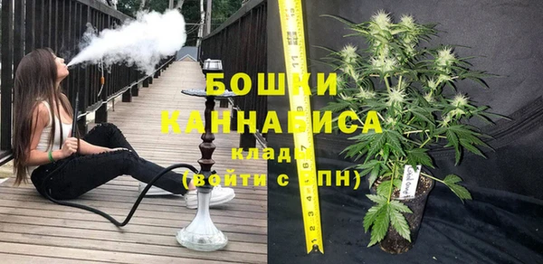 гидра Инта