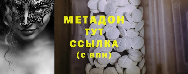 гидра Инта