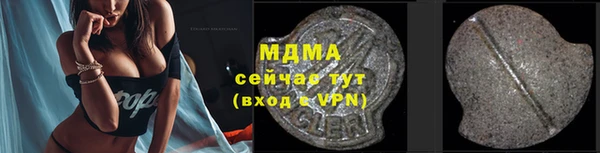 гидра Инта