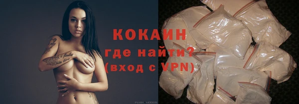 гидра Инта
