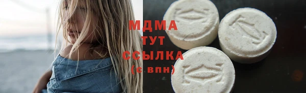 гидра Инта