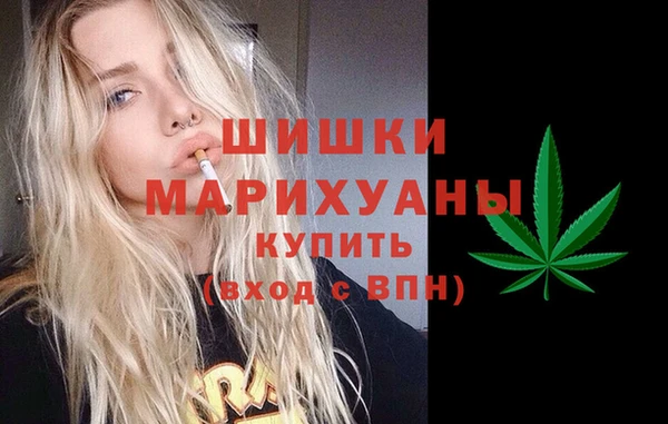 гидра Инта