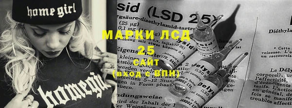 гидра Инта