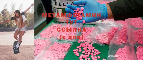 гидра Инта