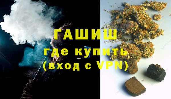 гидра Инта