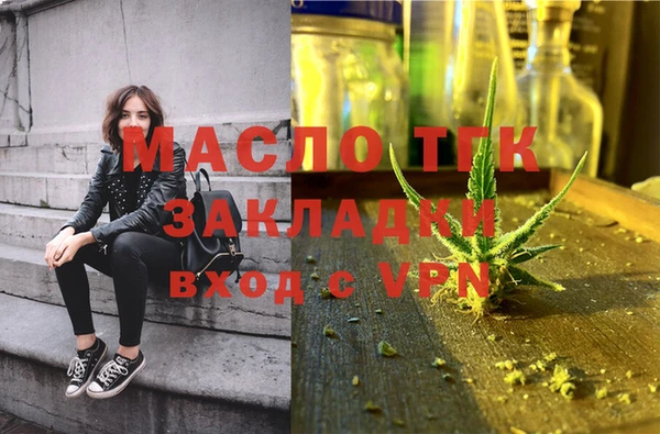 гидра Инта