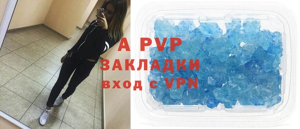 гидра Инта