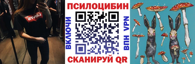 Галлюциногенные грибы прущие грибы  ОМГ ОМГ онион  Княгинино 